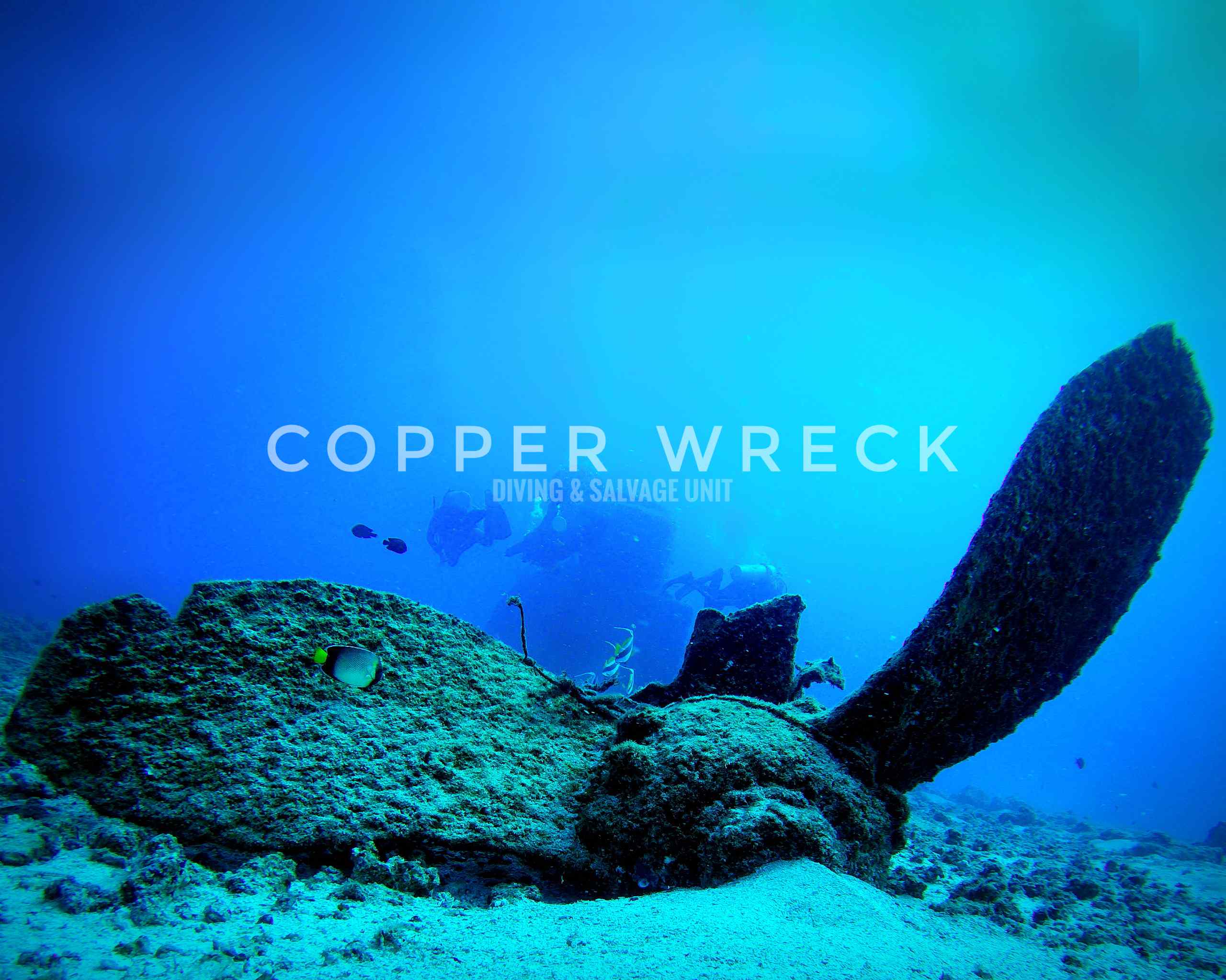 Copper Wreck