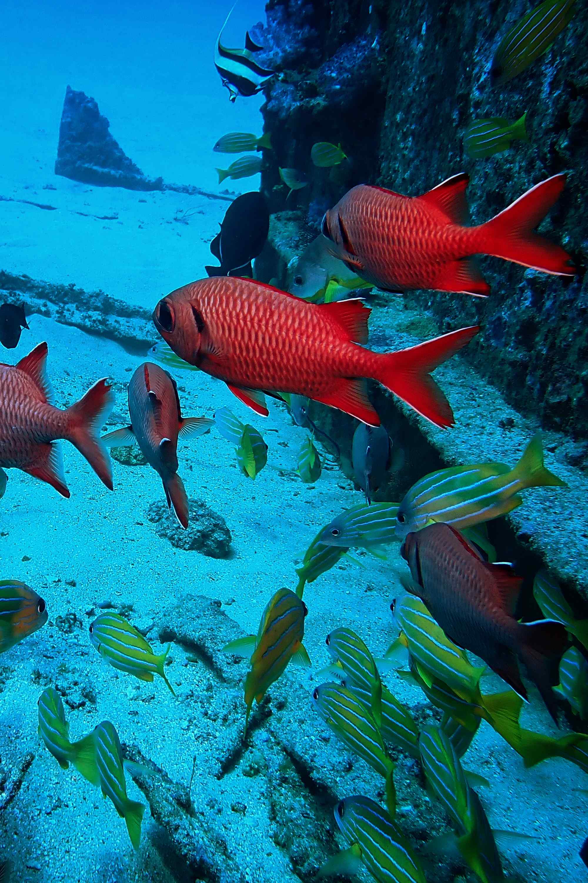 Technical diving - mobile view