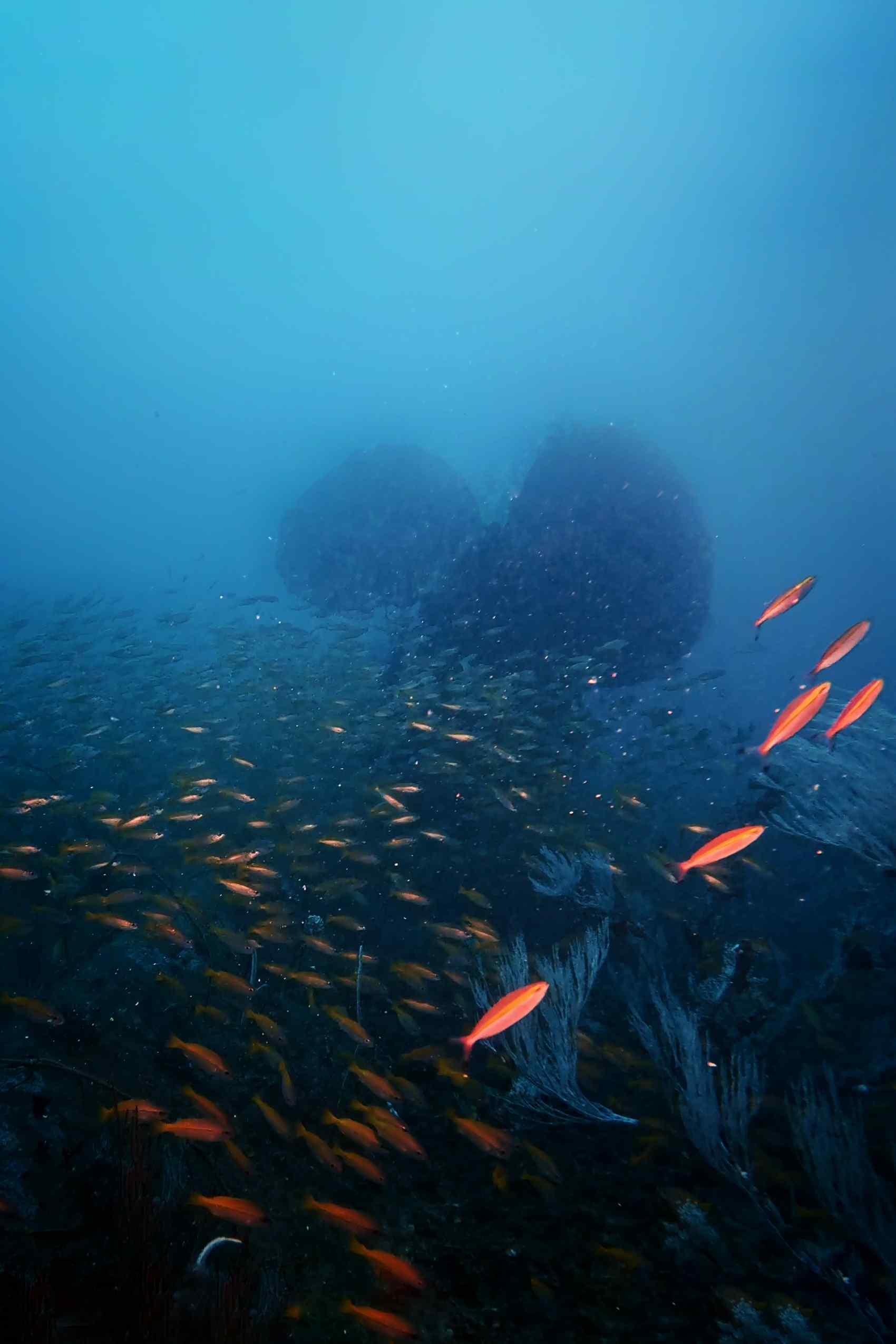 Technical diving - mobile view