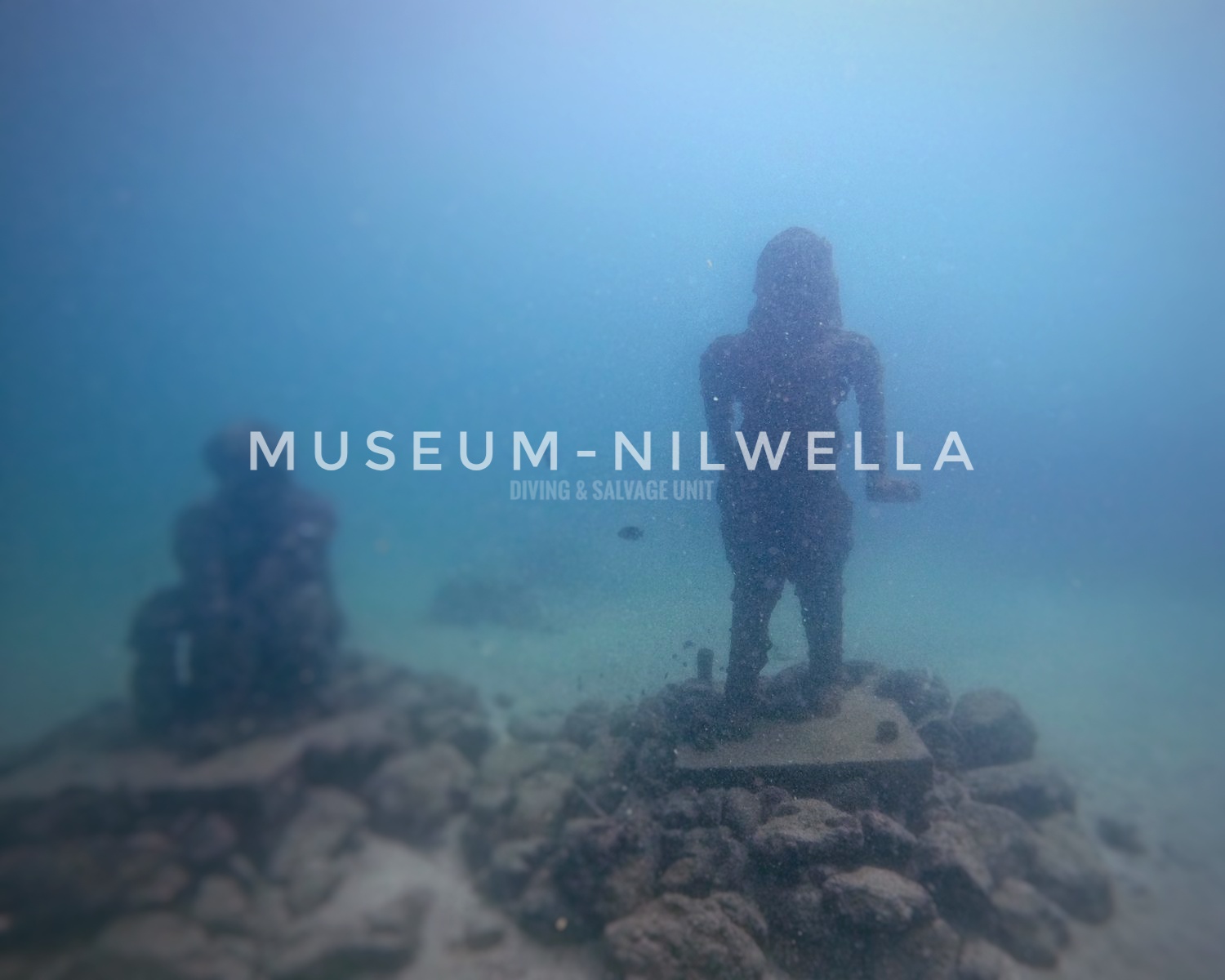 Nilwella Underwater Gallery