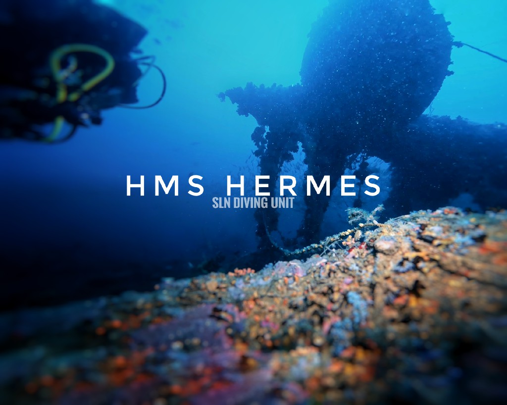 HMS Hermes