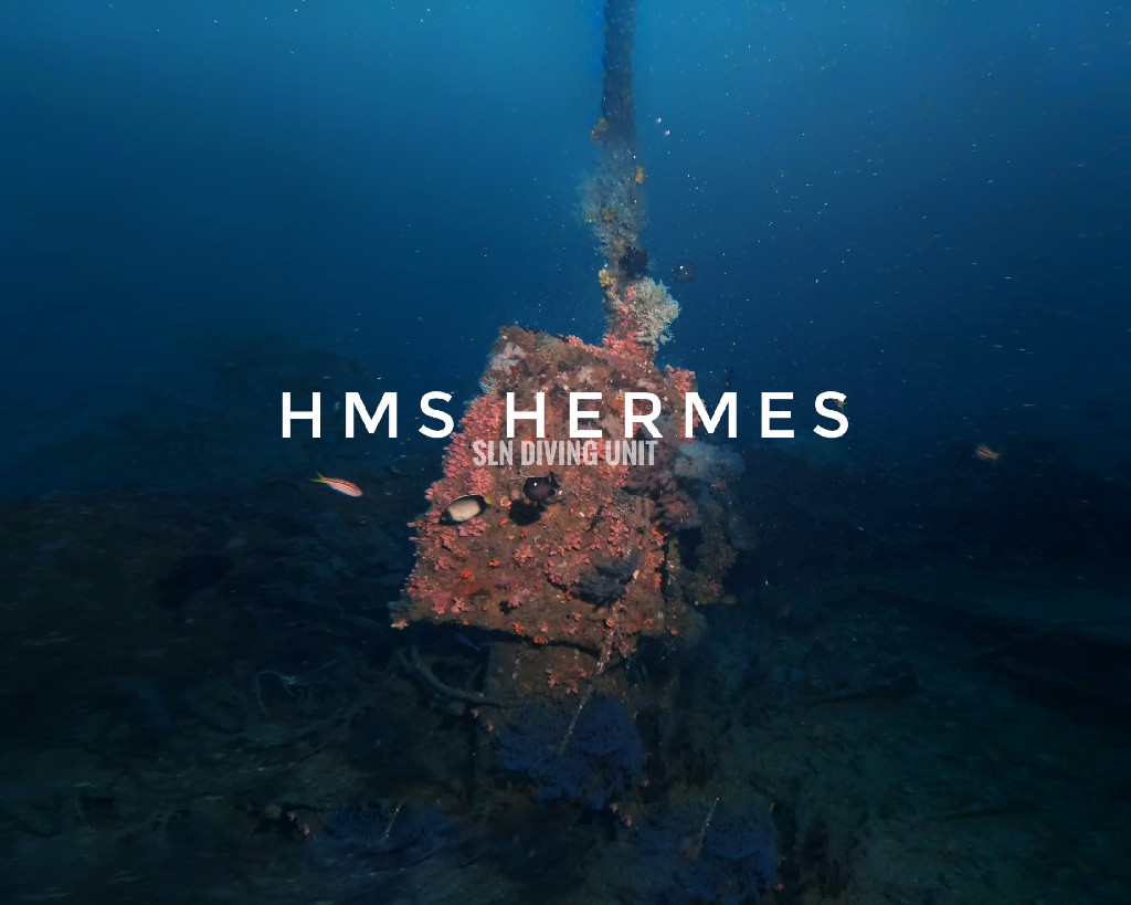 HMS Hermes
