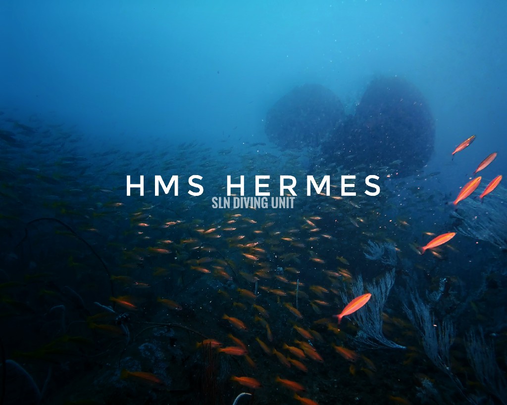 HMS Hermes