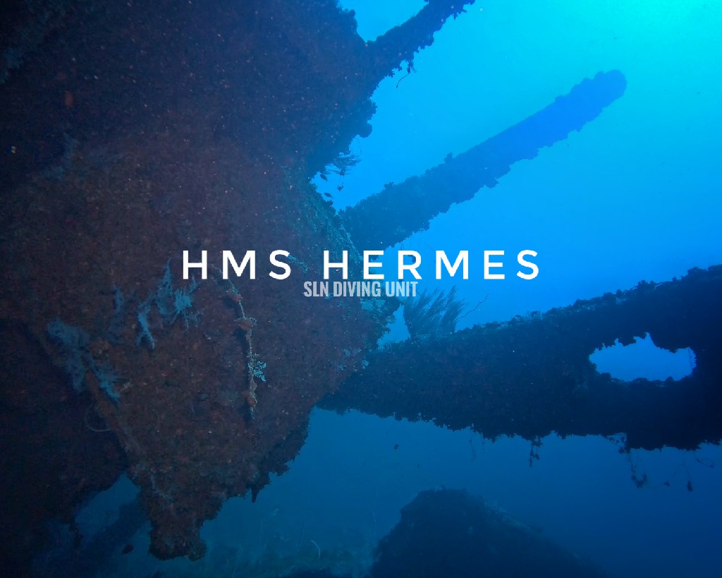 HMS Hermes shipwreck Sri Lanka - WW2 aircraft carrier wreck diving