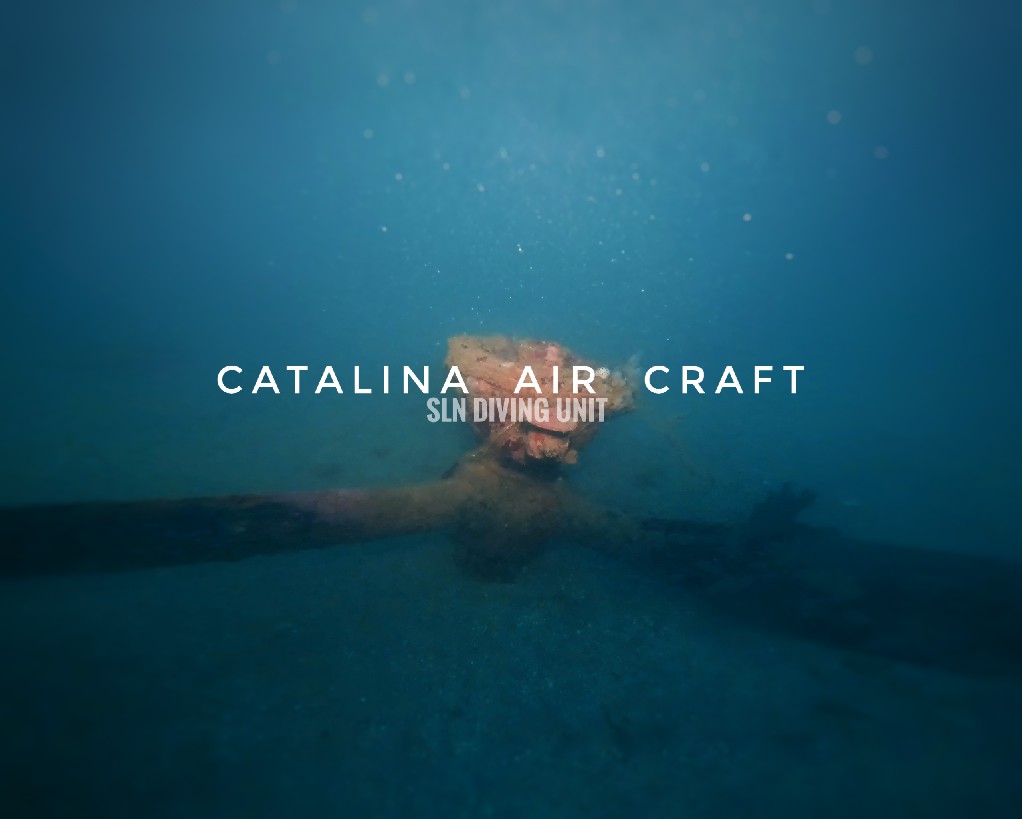 Catalina Air Craft
