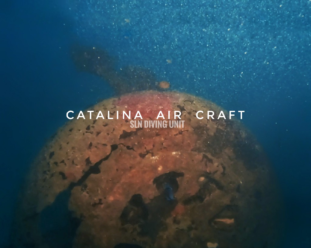 Catalina Y-78 flying over the sea